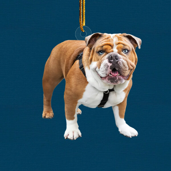Acrylic Ornament Upload Photo Personalized Christmas Gift For Dog Lover - Image 2
