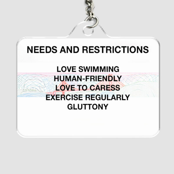 Custom Photo Pet ID Tags - Drivers License - California - Image 4
