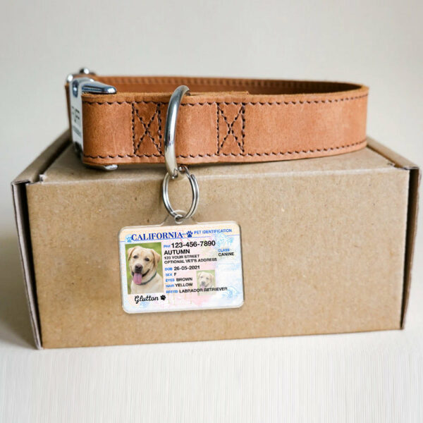 Custom Photo Pet ID Tags - Drivers License - California - Image 5