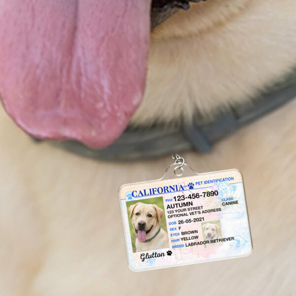 Custom Photo Pet ID Tags - Drivers License - California - Image 2
