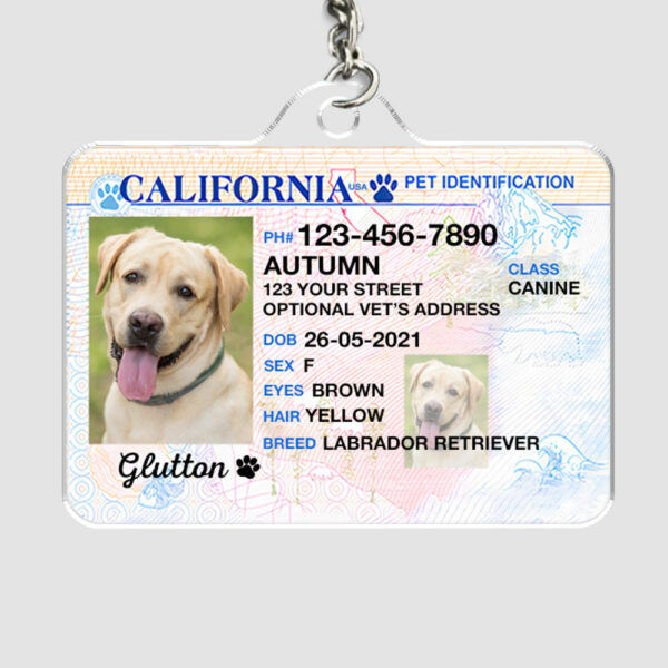 Custom Photo Pet ID Tags - Drivers License - California - Image 3